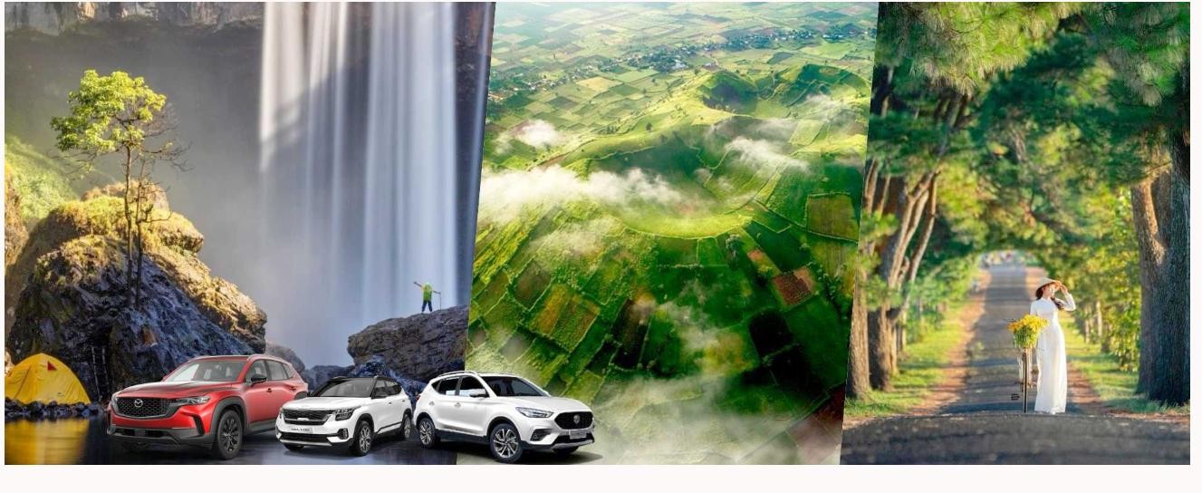 [2026] Bảng giá thuê xe tự lái Gia Lai giá rẻ