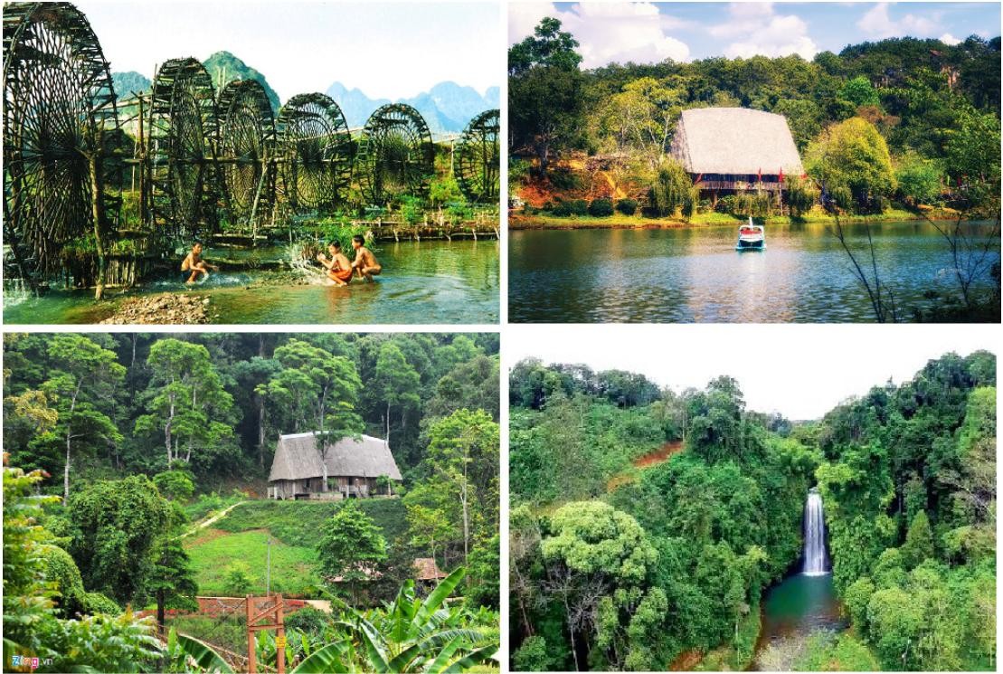 [2026] Bảng giá thuê xe 16 chỗ Gia Lai có tài xế