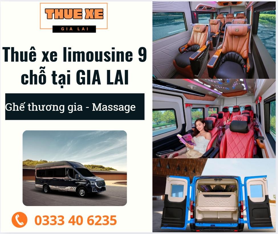 [2026] Bảng giá thuê xe limousine 9 chỗ tại Gia Lai